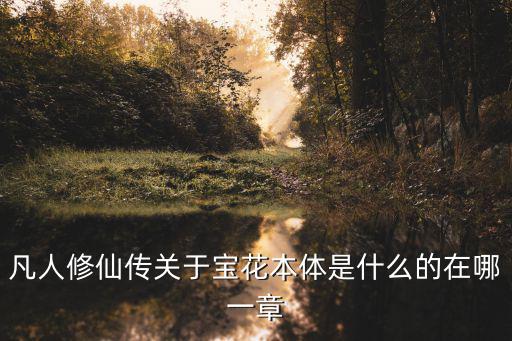 凡人修仙傳關于寶花本體是什么的在哪一章