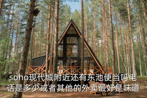 soho現代城附近還有東池便當嗎電話是多少或者其他的外賣最好是味道