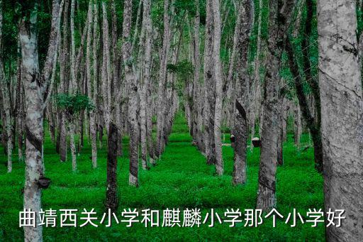 曲靖西關小學和麒麟小學那個小學好