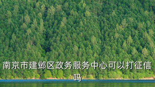南京政務(wù)服務(wù)中心，南京市建鄴區(qū)政務(wù)服務(wù)中心可以打征信嗎