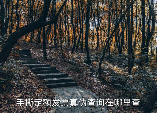 手撕定額發票真偽查詢在哪里查