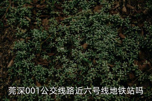莞深001公交線路近六號線地鐵站嗎