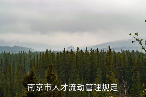 南京市人才流動管理規定