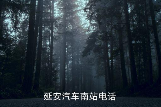 延安汽車南站電話，陜西延安市汽車南站亂收費該向哪舉報誰有網站或電話