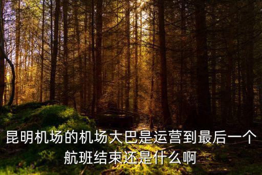 昆明機場的機場大巴是運營到最后一個航班結束還是什么啊
