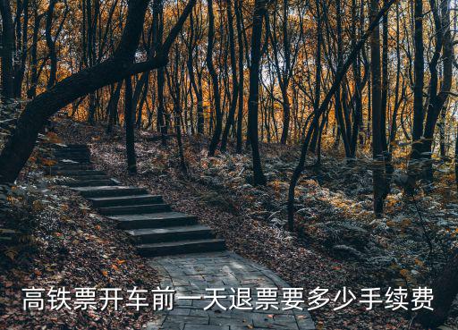 高鐵票退票手續(xù)費(fèi)，高鐵票開(kāi)車前一天退票要多少手續(xù)費(fèi)