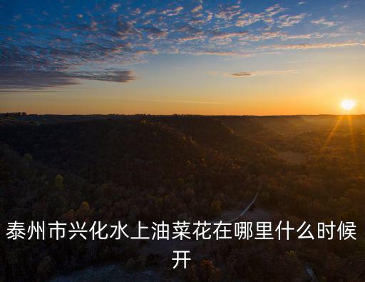 泰州市興化水上油菜花在哪里什么時候開