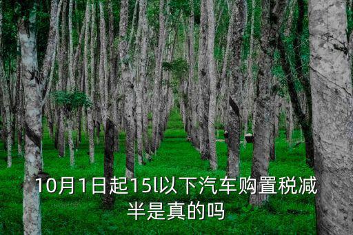 10月1日起15l以下汽車購置稅減半是真的嗎