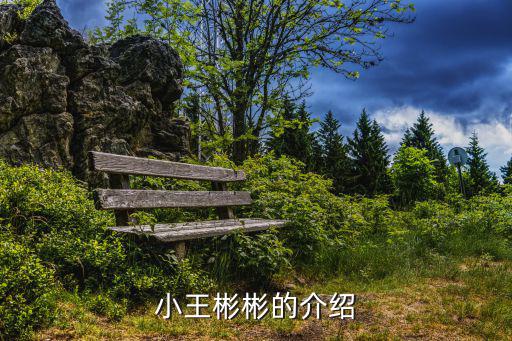 小王彬彬的介紹