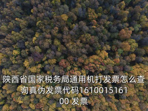 陜西省國家稅務(wù)局通用機(jī)打發(fā)票怎么查詢真?zhèn)伟l(fā)票代碼161001516100 發(fā)票