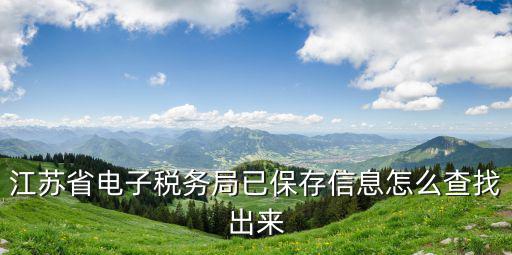江蘇省電子稅務局已保存信息怎么查找出來