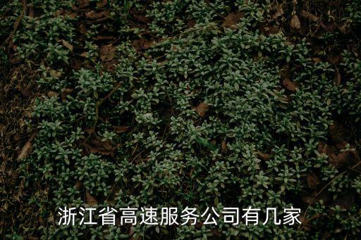 浙江省高速服務公司有幾家