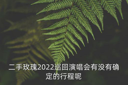 二手玫瑰2022巡回演唱會有沒有確定的行程呢