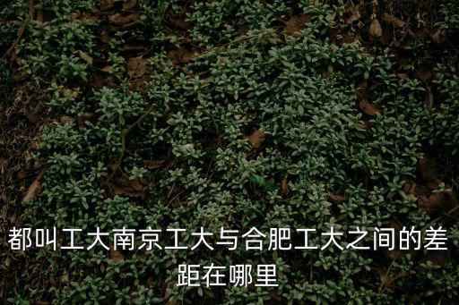 都叫工大南京工大與合肥工大之間的差距在哪里