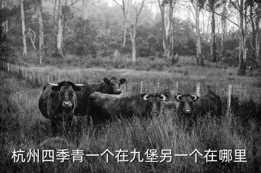 杭州四季青屬于什么區，請問杭州四季青的具體地址在哪