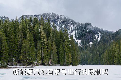 新能源汽車有限號出行的限制嗎