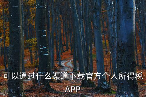 可以通過什么渠道下載官方個人所得稅APP