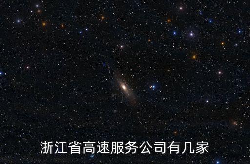 浙江省高速服務公司有幾家
