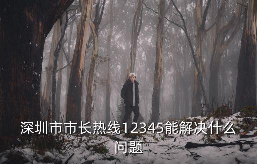深圳市市長熱線，12345市長電話 多少錢一分鐘