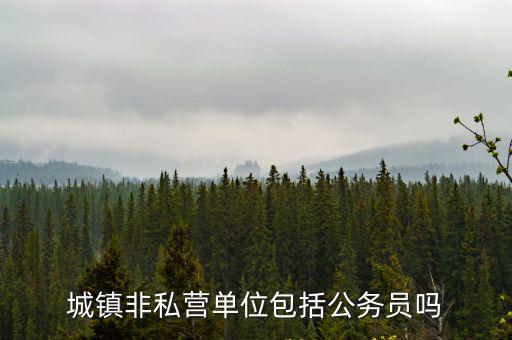 城鎮非私營單位，城鎮非私營單位包括公務員嗎