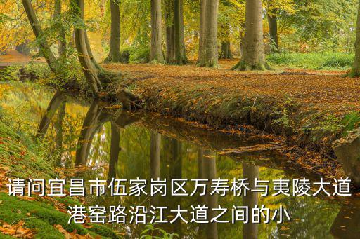請問宜昌市伍家崗區萬壽橋與夷陵大道港窯路沿江大道之間的小