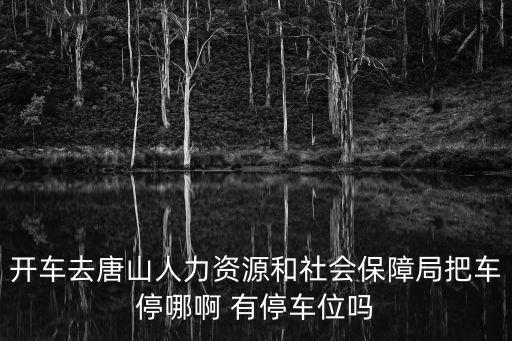 開車去唐山人力資源和社會保障局把車停哪啊 有停車位嗎