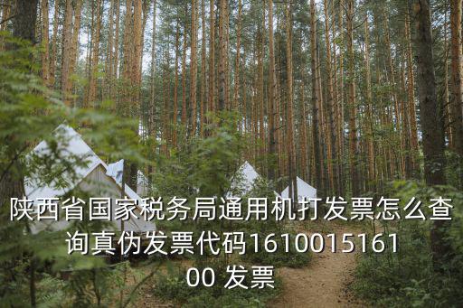 陜西省國家稅務，陜西省國家稅務局的主要領導是誰