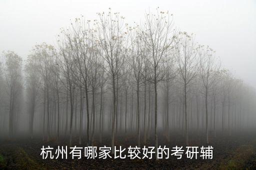 杭州有哪家比較好的考研輔