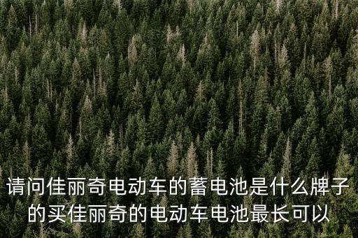 請問佳麗奇電動車的蓄電池是什么牌子的買佳麗奇的電動車電池最長可以