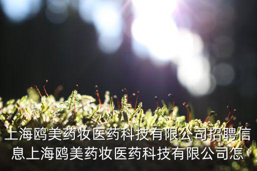 鷗美藥妝，容易過(guò)敏鷗美藥妝進(jìn)口歐敏膚SensiBlanc系列能用嗎