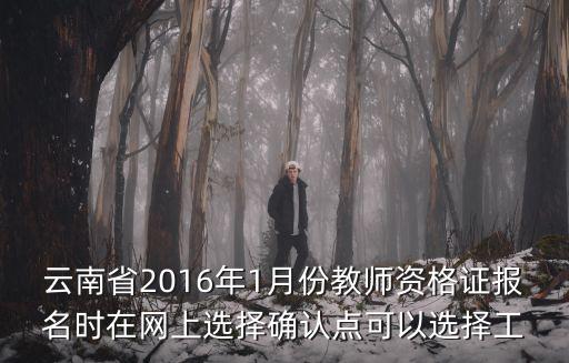 云南省2016年1月份教師資格證報名時在網上選擇確認點可以選擇工