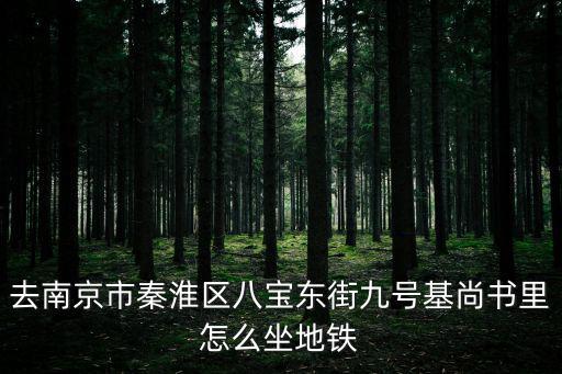 去南京市秦淮區(qū)八寶東街九號(hào)基尚書里怎么坐地鐵