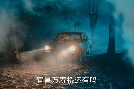 宜昌萬壽橋還有嗎