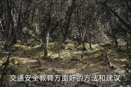 道路交通安全教育，交通安全教育方面好的方法和建議