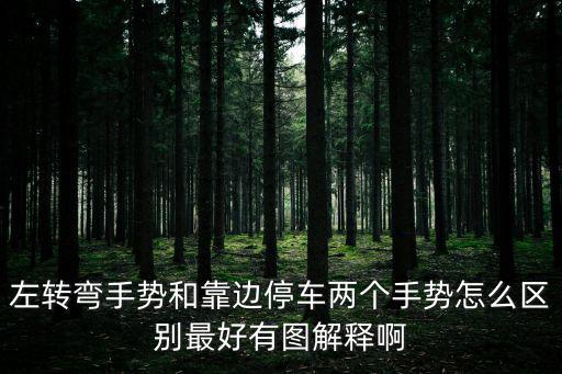 左轉彎手勢和靠邊停車兩個手勢怎么區別最好有圖解釋啊