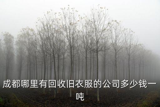 成都哪里有回收舊衣服的公司多少錢一噸