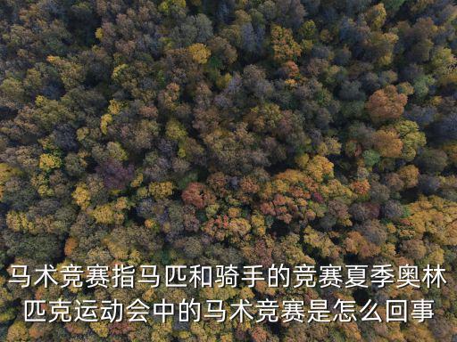 馬術(shù)競(jìng)賽指馬匹和騎手的競(jìng)賽夏季奧林匹克運(yùn)動(dòng)會(huì)中的馬術(shù)競(jìng)賽是怎么回事