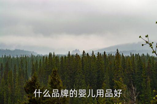 什么品牌的嬰兒用品好