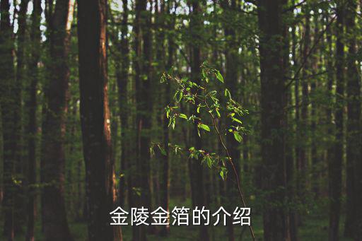 金陵金箔的介紹