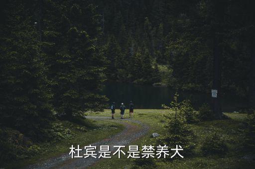 杜賓是禁養犬嗎，杜賓是不是禁養犬