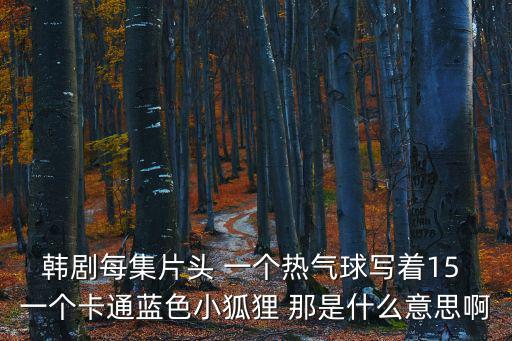 韓劇每集片頭 一個熱氣球寫著15 一個卡通藍色小狐貍 那是什么意思啊