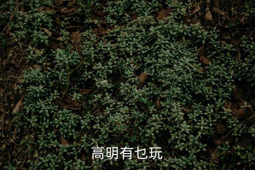 高明有乜玩