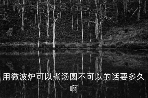 用微波爐可以煮湯圓不可以的話要多久啊