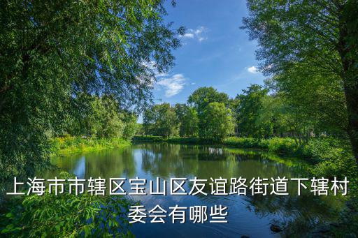 上海市市轄區寶山區友誼路街道下轄村委會有哪些