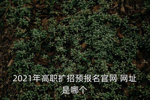 2021年高職擴招預報名官網 網址是哪個