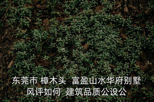 東莞市 樟木頭  富盈山水華府別墅風評如何  建筑品質公設公