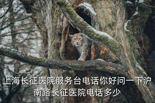 上海長征醫院電話，上海長征醫院在哪條路