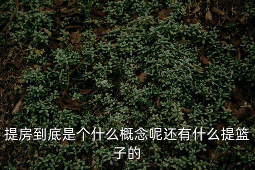 提房到底是個什么概念呢還有什么提籃子的