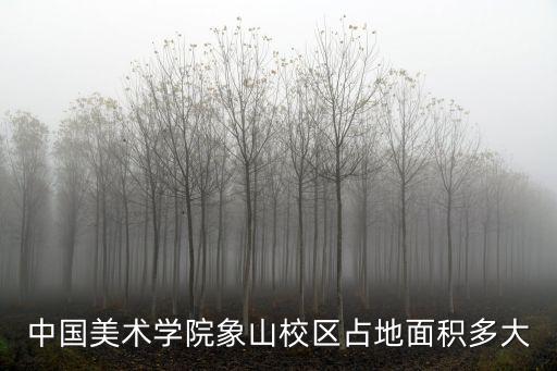 中國美術學院象山校區占地面積多大