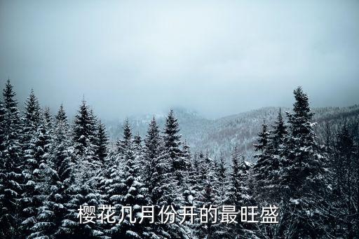 櫻花幾月開的最旺盛，櫻花什么時候開花最茂盛